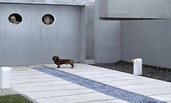 Jacques Tati İncelemesi görsel 5 2. gün